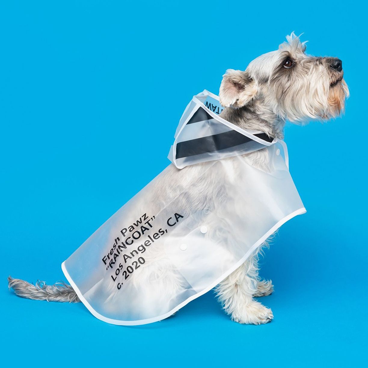 Fresh Pawz Dog Gear & Accessories Starting at $20